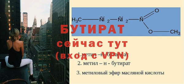 индика Бородино