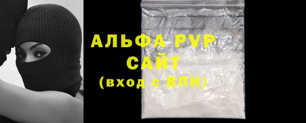 сатива Богданович