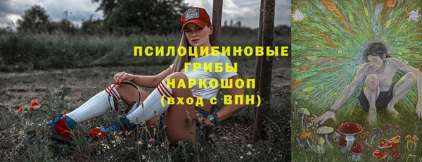 стафф Богородицк