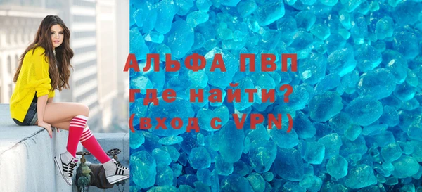 индика Бородино