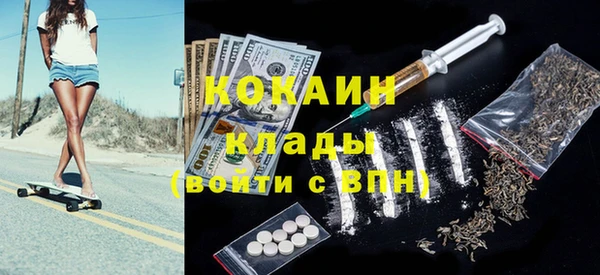 индика Бородино