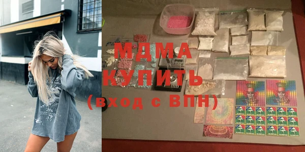 индика Бородино