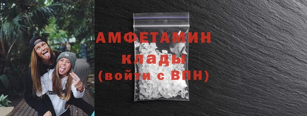 индика Бородино