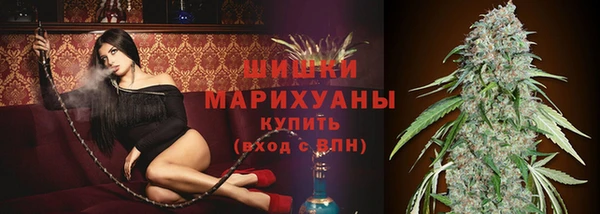 индика Бородино