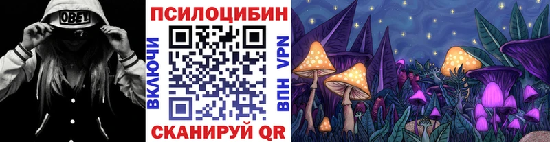 kraken вход  Болгар  Галлюциногенные грибы MAGIC MUSHROOMS 